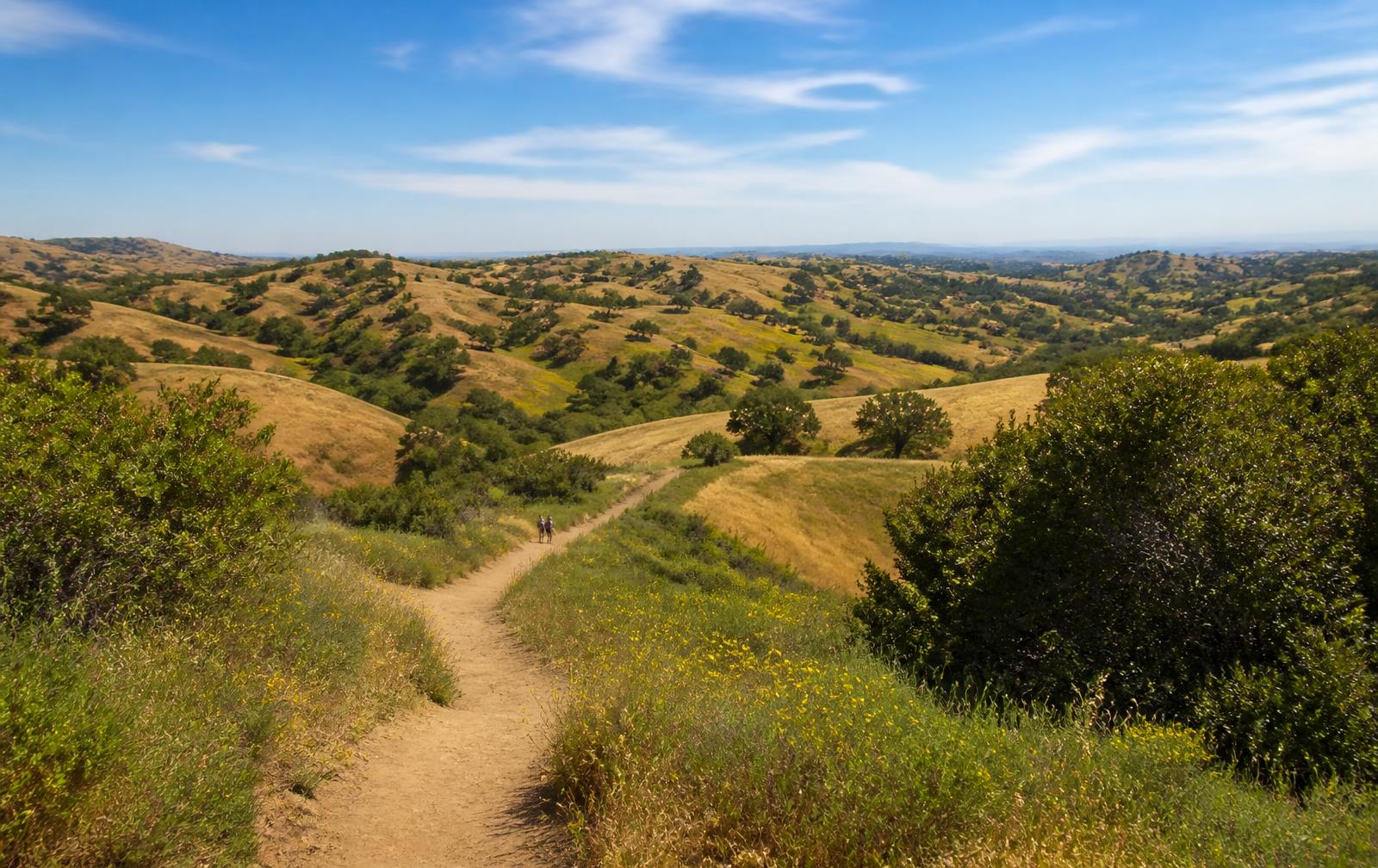 Chino Hills State Park